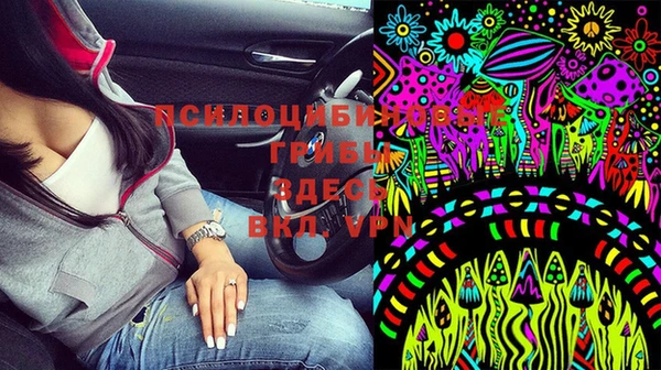 spice Володарск